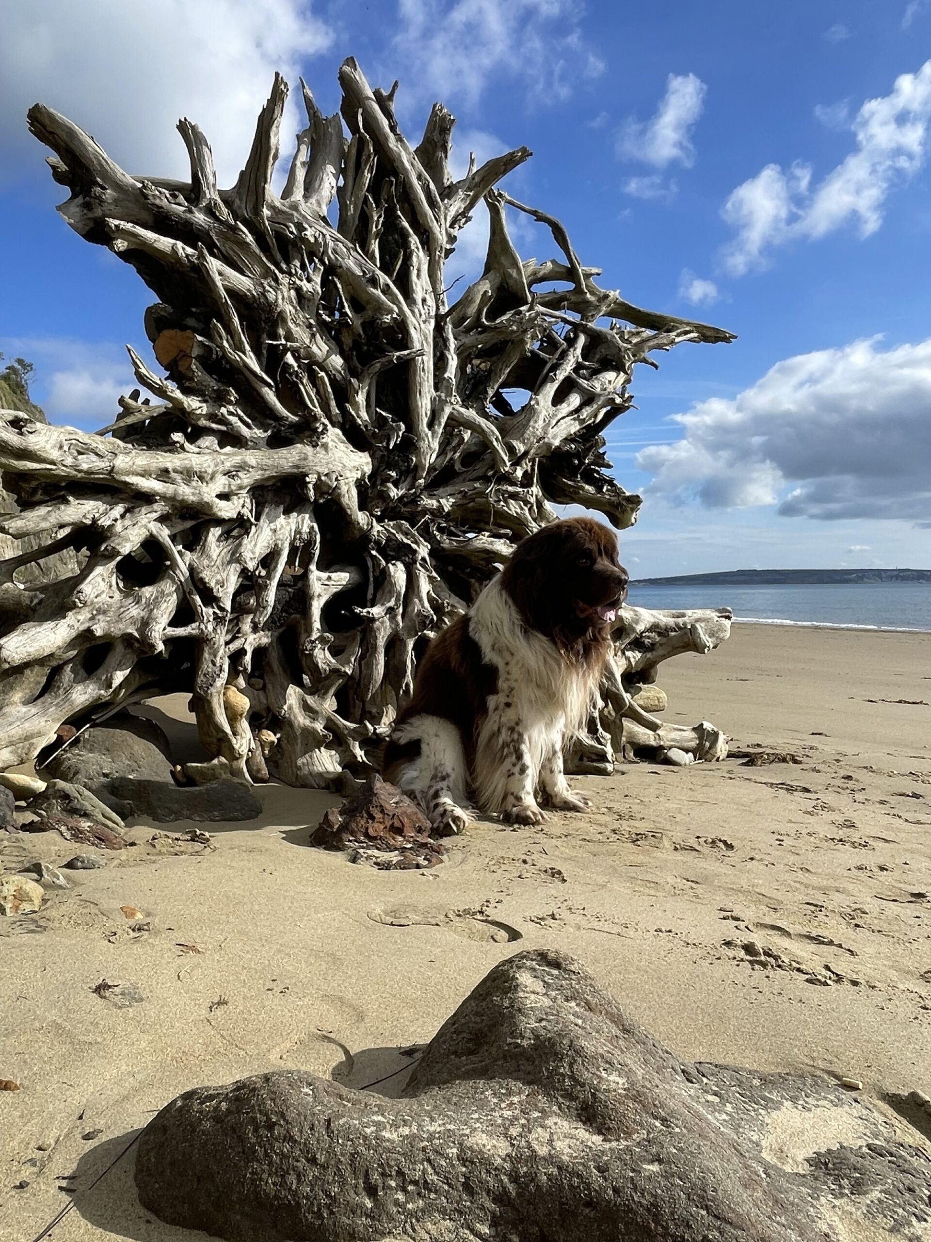 Game of Thrones was filmed on our beach!