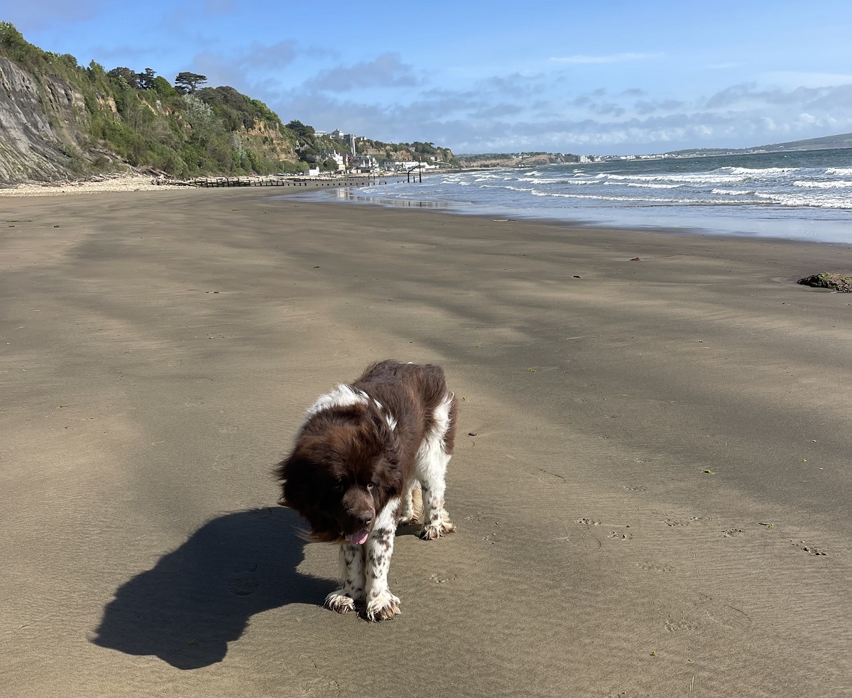 On the Benefits of Sea Walks